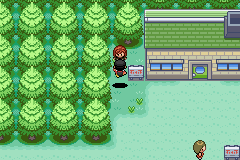 pokemon crystal dust walkthrough